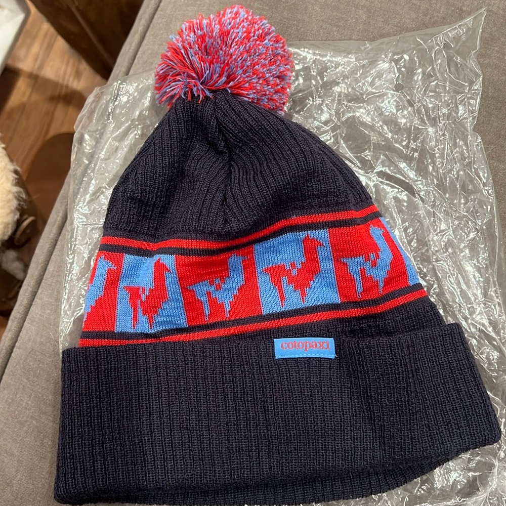 Cotopaxi beanie